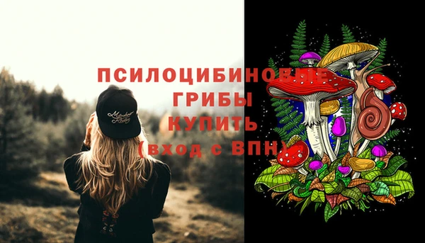 трава Абинск