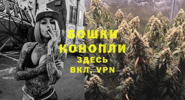 spice Абаза